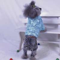 2017 new design spring sequins yarn denim cloth dog four-legs clothing